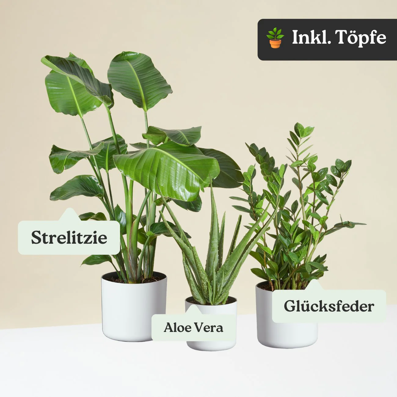 Vorschaubild 10