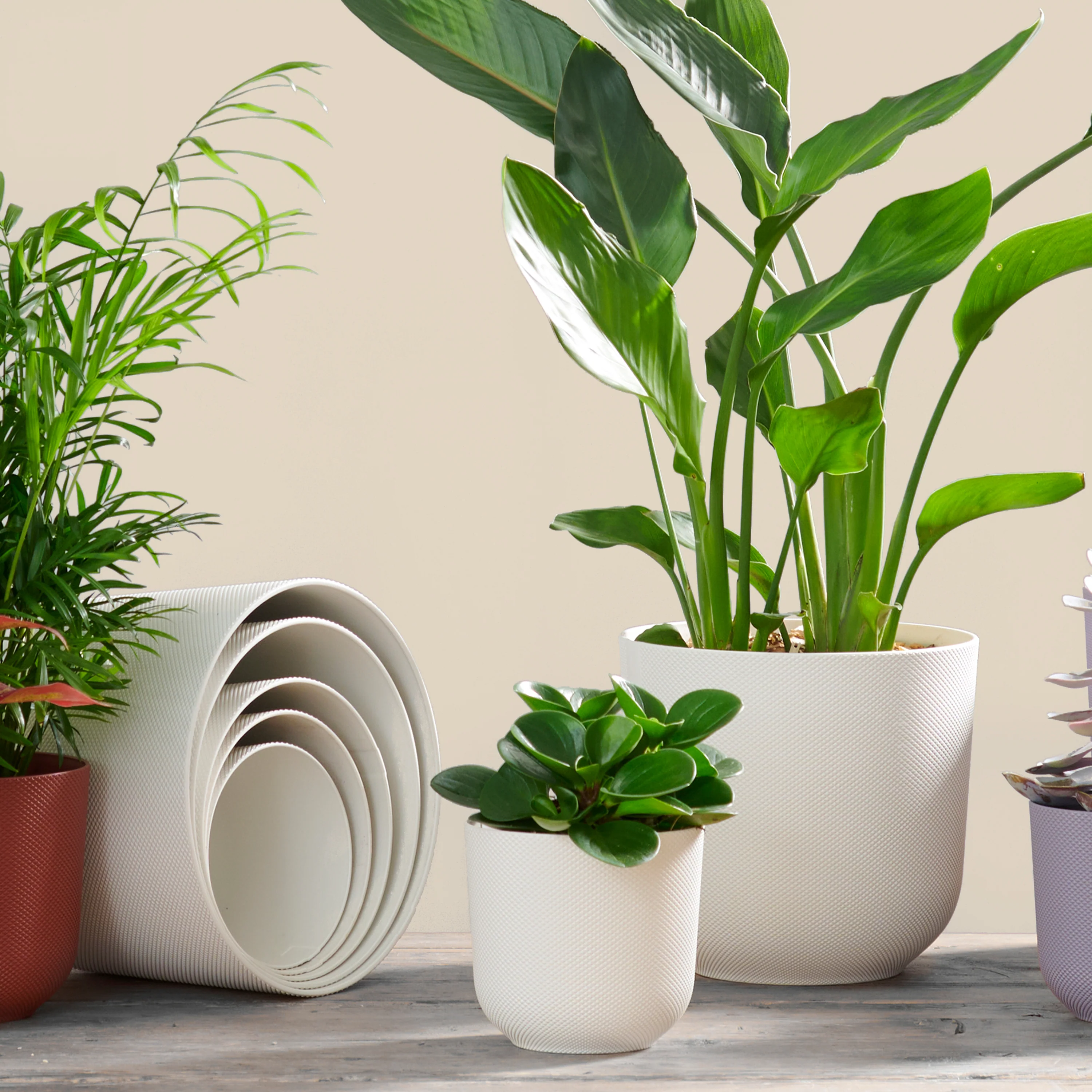 Vorschaubild 3