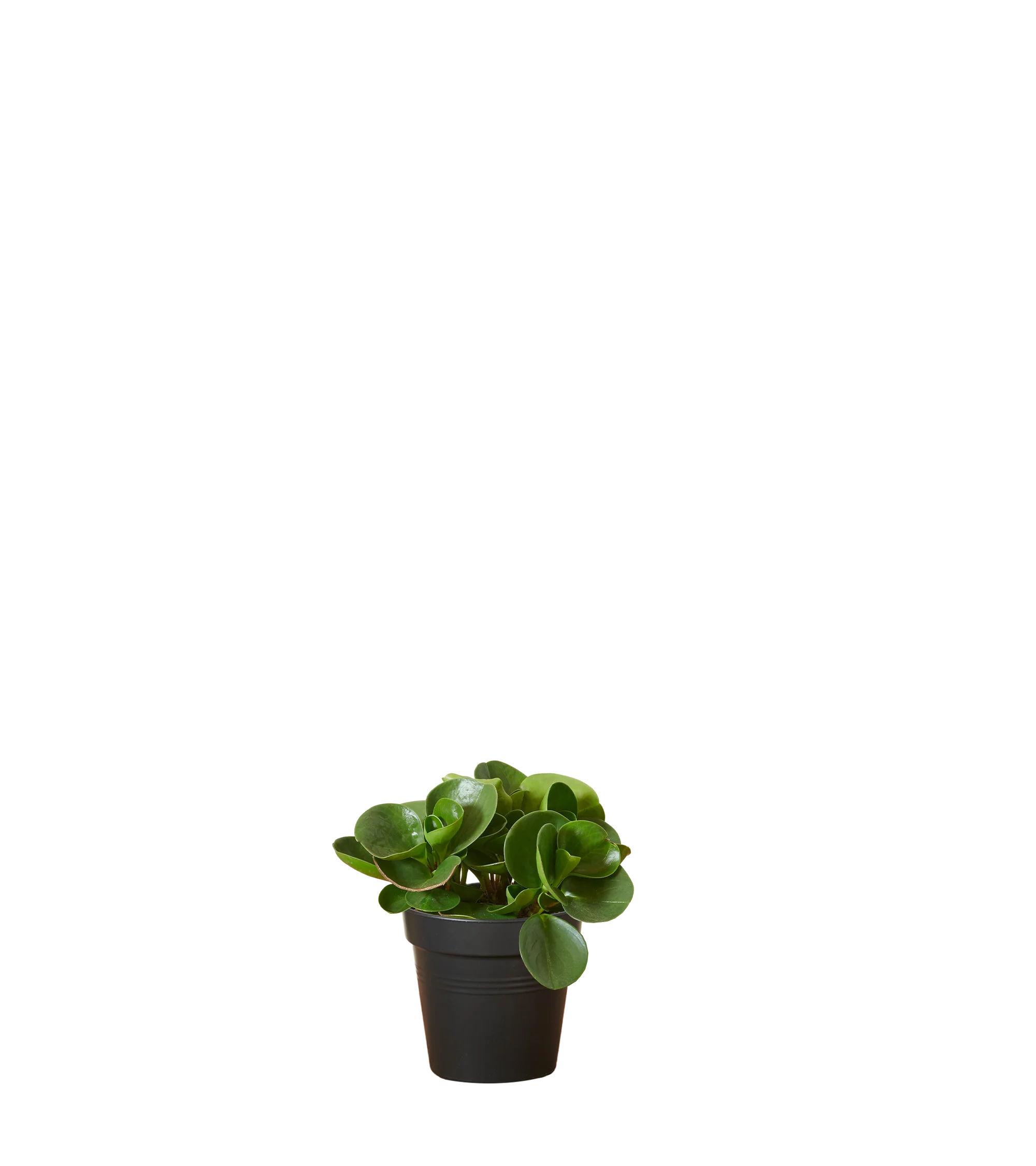 Vorschaubild 9